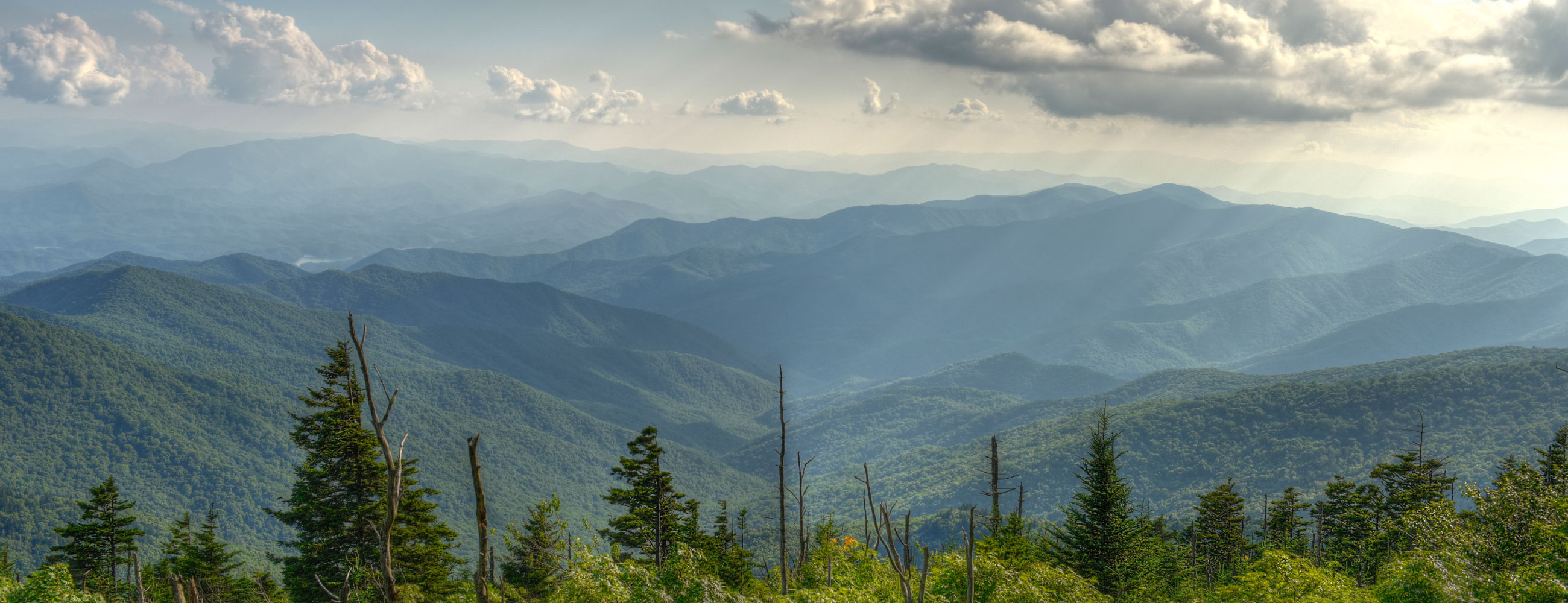 Digitale Menomale Digitale Menomale